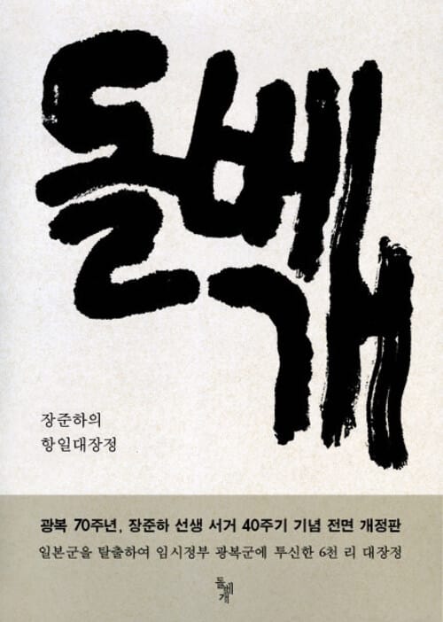 돌베개 - 장준하의 항일대장정