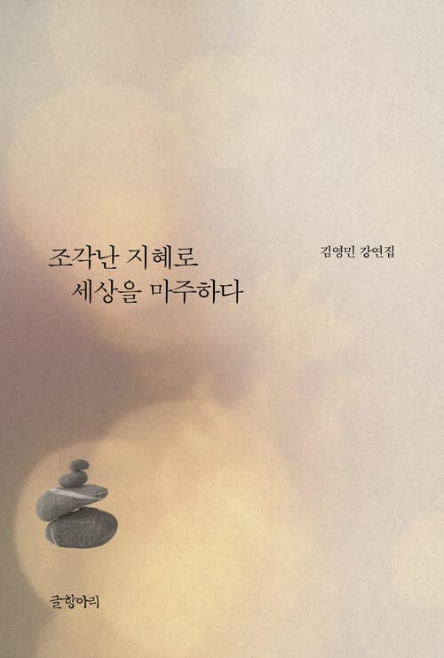 조각난 지혜로 세상을 마주하다 - 김영민 강연집