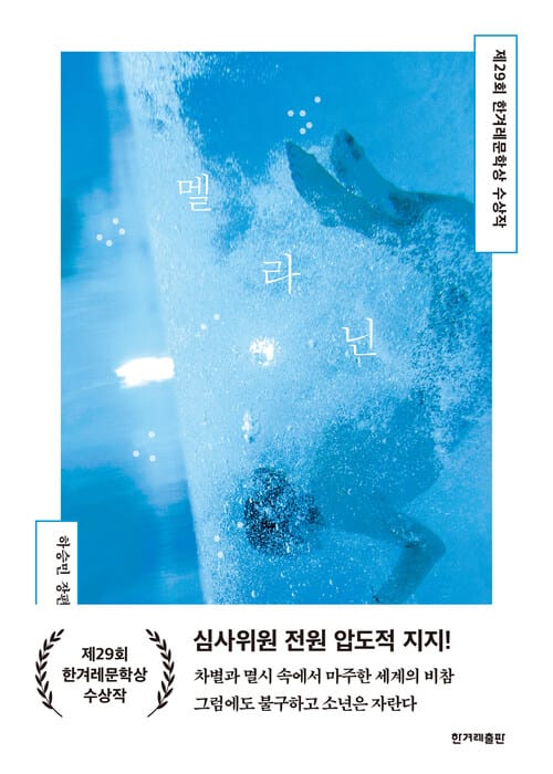 멜라닌 - 제29회 한겨레문학상 수상작