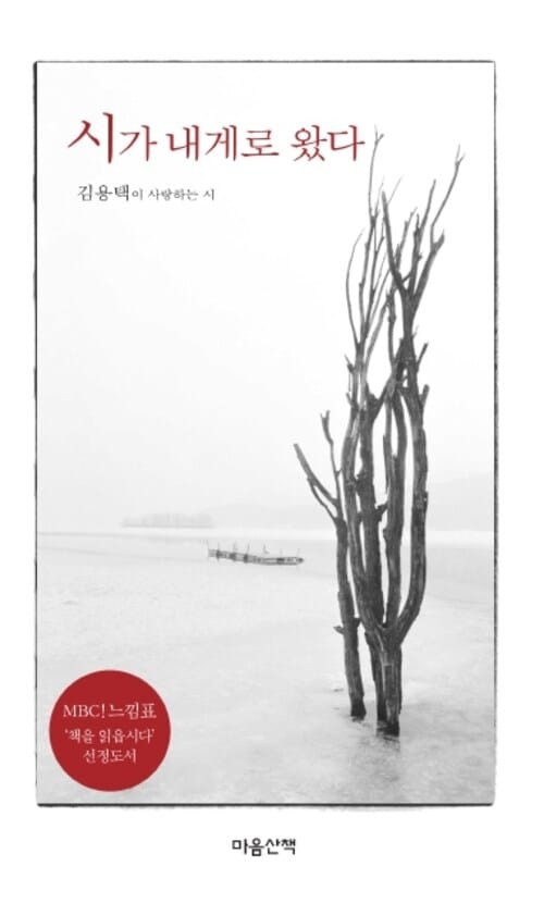 시가 내게로 왔다 - MBC 느낌표 선정도서