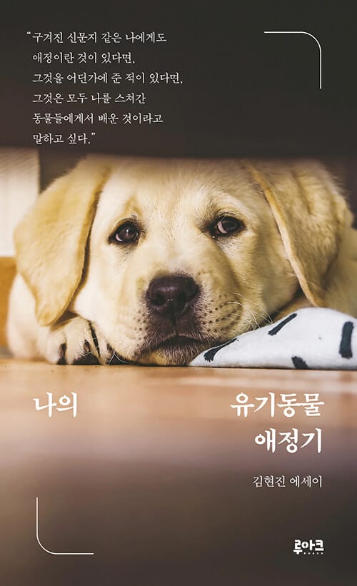 나의 유기동물 애정기