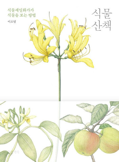식물 산책 - 식물세밀화가가 식물을 보는 방법