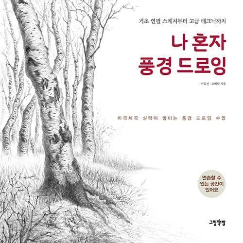 나 혼자 풍경 드로잉 - 기초 연필 스케치부터 고급 테크닉까지