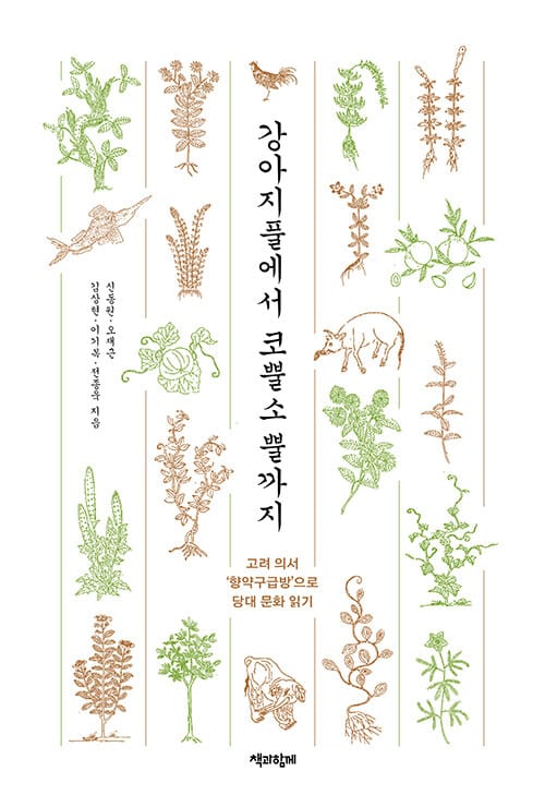 강아지풀에서 코뿔소 뿔까지 - 고려 의서 ‘향약구급방’으로 당대 문화 읽기