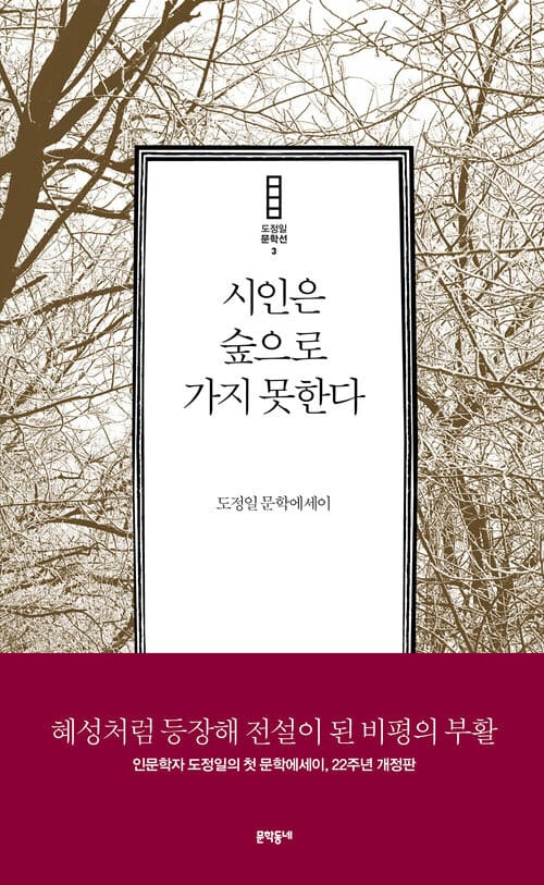 시인은 숲으로 가지 못한다 - 도정일 문학에세이
