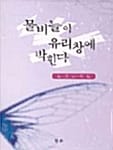 물비늘이 유리창에 박힌다