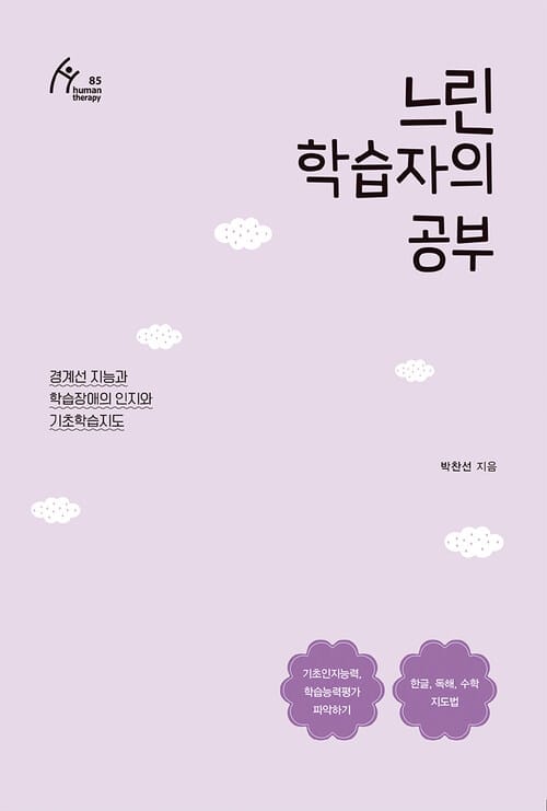 느린 학습자의 공부 - 경계선 지능과 학습장애의 인지와 기초학습지도