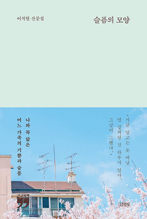 [큰글자책] 슬픔의 모양