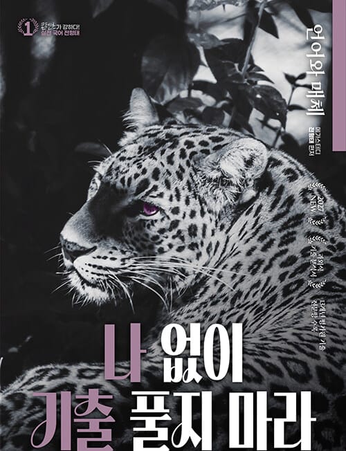 2027 전형태 나기출 평가원 수능 국어 13개년 언어와 매체 과외식 기출문제집 (2026년) - 언매 수능 기출부터 교육청 문제까지! 인강 강사가 떠먹여주는 과외식 기출문제집!