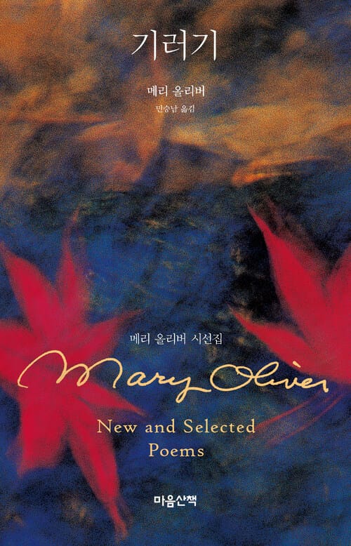 기러기 - 메리 올리버 시선집