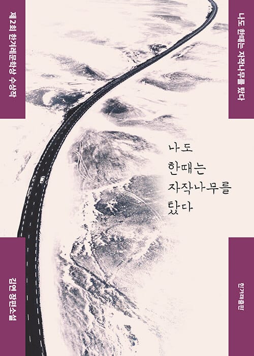 나도 한때는 자작나무를 탔다 - 제2회 한겨레문학상 수상작