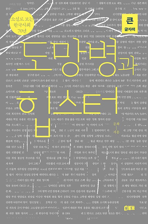 [큰글자책] 도망병과 힙스터 - 소설로 보는 한국사회 70년