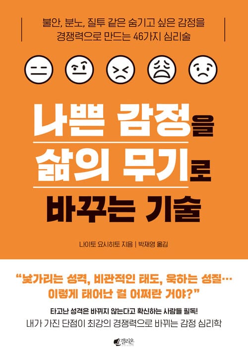 나쁜 감정을 삶의 무기로 바꾸는 기술 - 불안, 분노, 질투 같은 숨기고 싶은 감정을 경쟁력으로 만드는 46가지 심리술