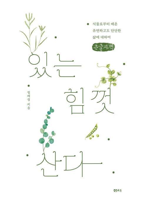 [큰글자책] 있는 힘껏 산다 - 식물로부터 배운 유연하고도 단단한 삶에 대하여
