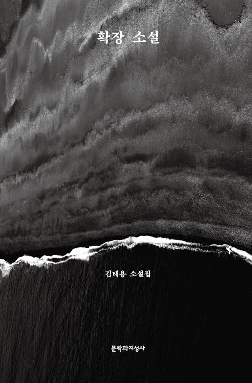 확장 소설