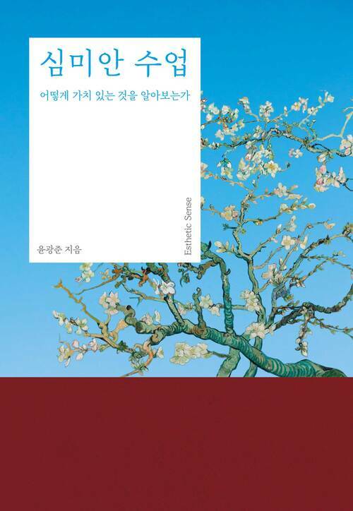심미안 수업 - 어떻게 가치 있는 것을 알아보는가