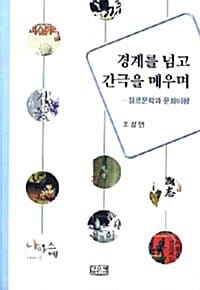 경계를 넘고 간극을 메우며 - 장르문학과 문화비평