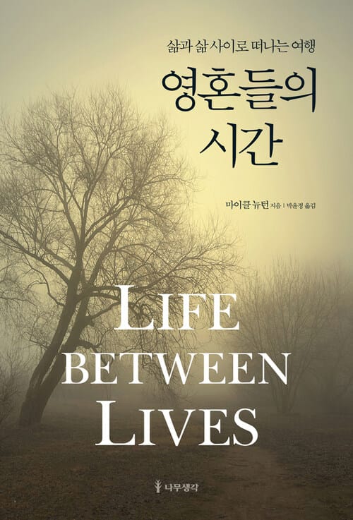 영혼들의 시간 : 삶과 삶 사이로 떠나는 여행 - 삶과 삶 사이로 떠나는 여행