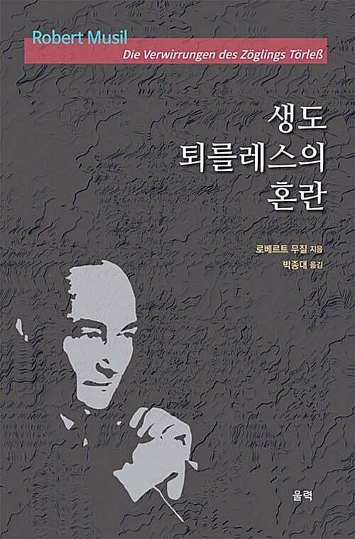 생도 퇴를레스의 혼란 - 개정판