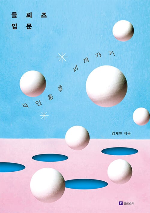 들뢰즈 입문 - 파인 홈을 비껴가기
