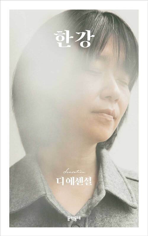 디 에센셜 한강 (무선 보급판)