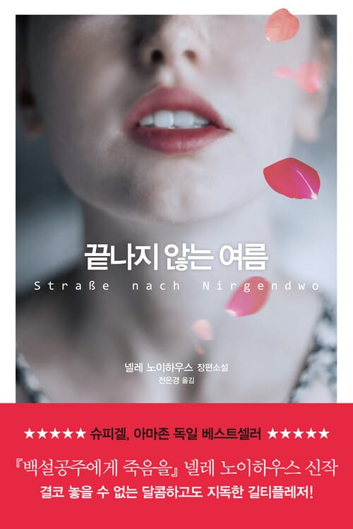 끝나지 않는 여름 - 넬레 노이하우스 장편소설