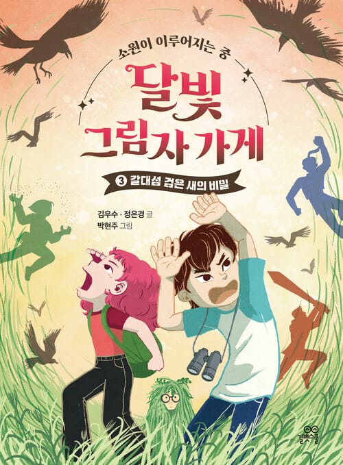 달빛 그림자 가게 3 - 갈대섬 검은 새의 비밀