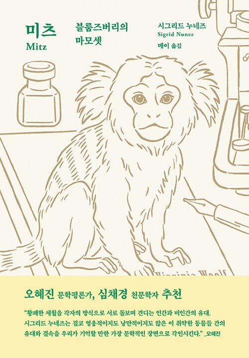 미츠 - 블룸즈버리의 마모셋