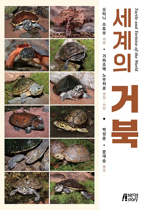세계의 거북