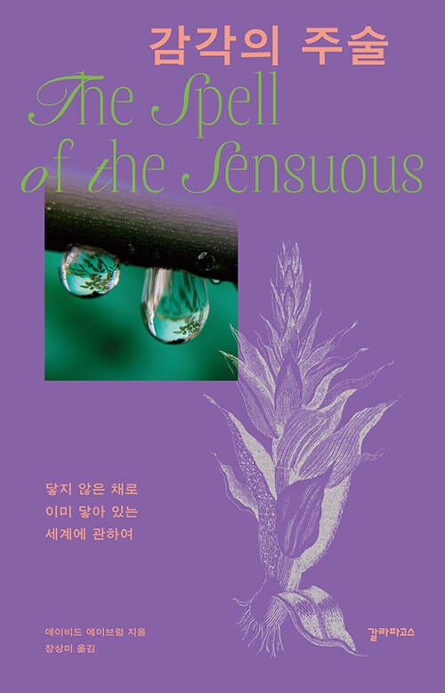 감각의 주술 - 닿지 않은 채로 이미 닿아 있는 세계에 관하여