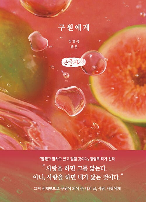 [큰글자책] 구원에게