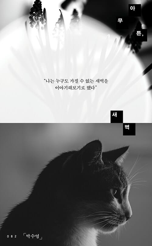 아무튼, 새벽 - 나는 누구도 가질 수 없는 새벽을 이야기해보기로 했다