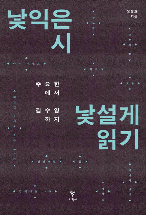 낯익은 시 낯설게 읽기 - 주요한에서 김수영까지