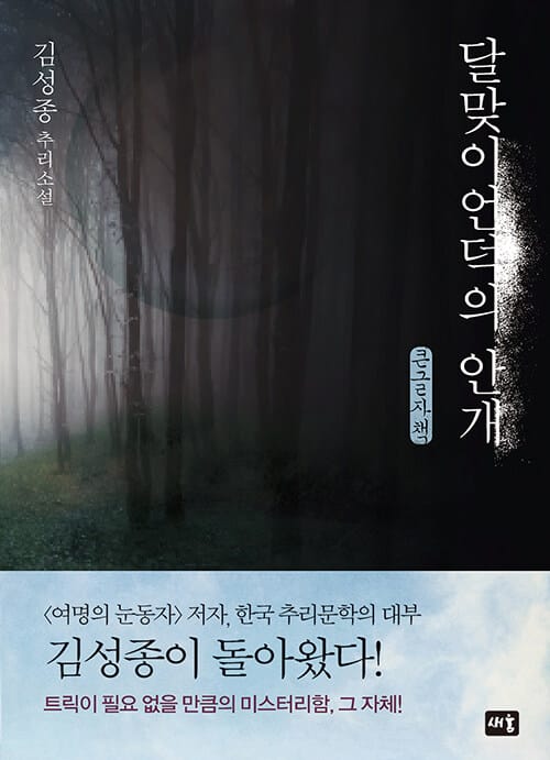 [큰글자책] 달맞이언덕의 안개