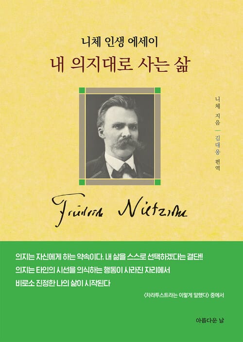 내 의지대로 사는 삶 - 니체 인생 에세이