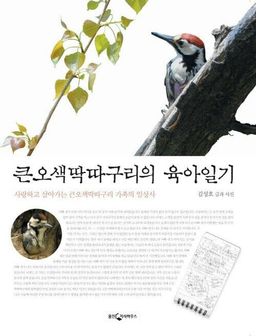 큰 오색 딱따구리의 육아일기 - 사랑하고 살아가는 큰오색딱따구리 가족의 일상사