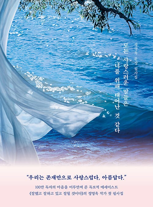 모든 사랑스러운 말들은 너를 위해 태어난 것 같다 - 정영욱 문장 필사집