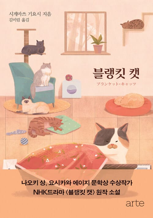 블랭킷 캣