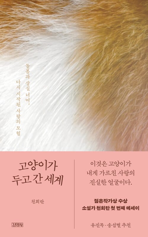고양이가 두고 간 세계 - 돌봄과 상실 너머, 다시 시작된 사랑의 모험