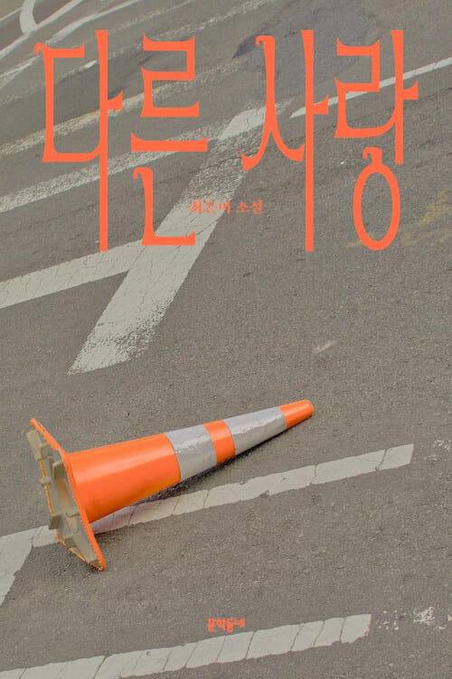 다른 사랑