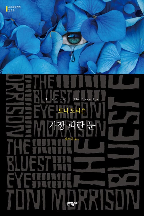가장 파란 눈
