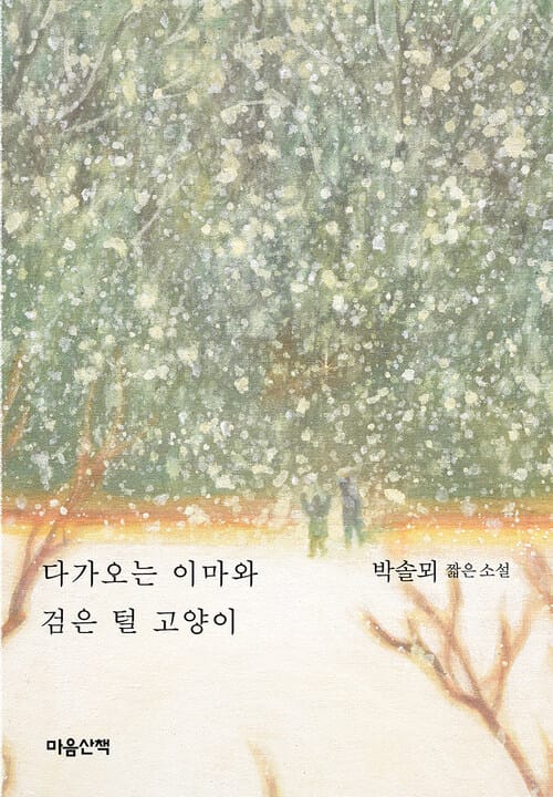 다가오는 이마와 검은 털 고양이