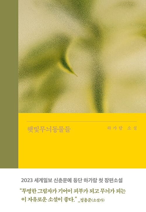 햇빛무늬동물들