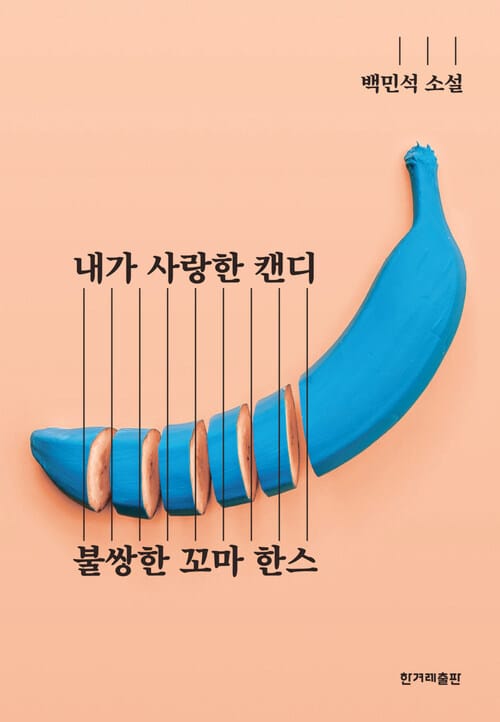 내가 사랑한 캔디 / 불쌍한 꼬마 한스 - 합본