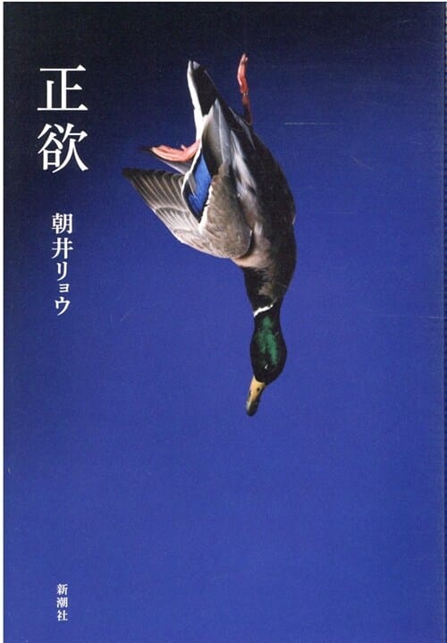 正欲