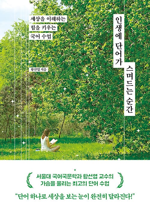 인생에 단어가 스며드는 순간 - 세상을 이해하는 힘을 키우는 국어 수업