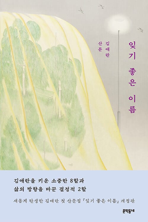잊기 좋은 이름 - 김애란 첫 산문집