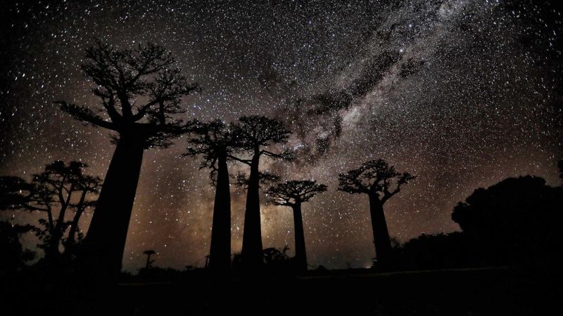 Africa photography 1