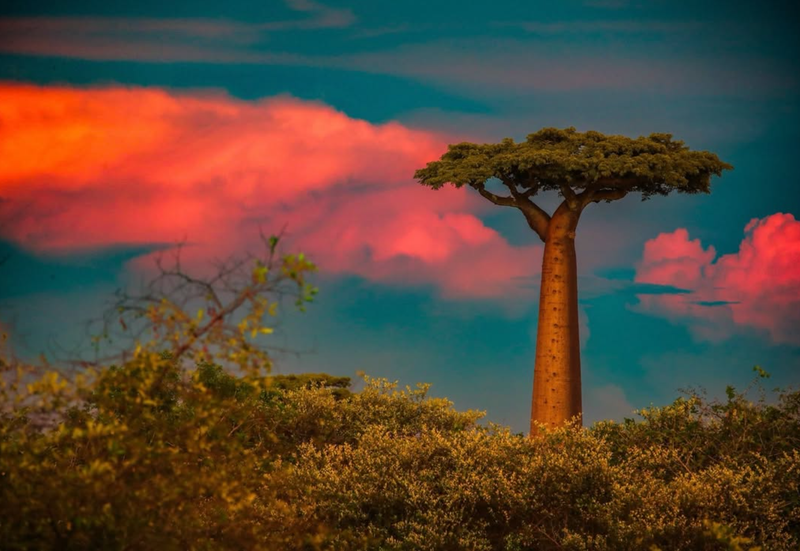 Africa photography 4