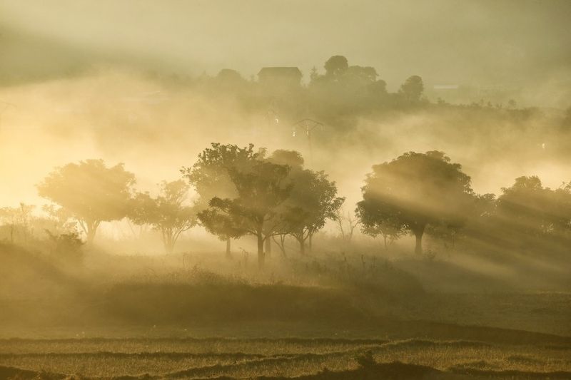 Africa photography 12